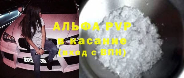 прущие грибы Череповец