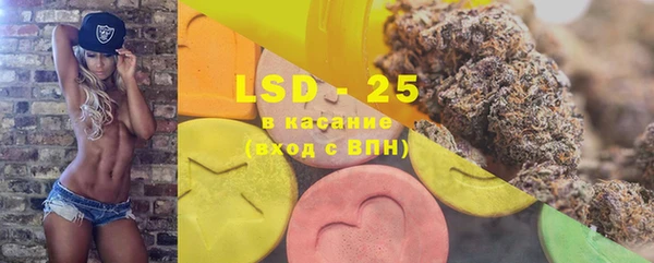 ECSTASY Белая Холуница
