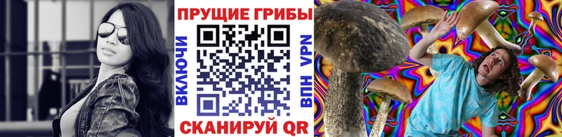 цены   Анадырь  Псилоцибиновые грибы Magic Shrooms 